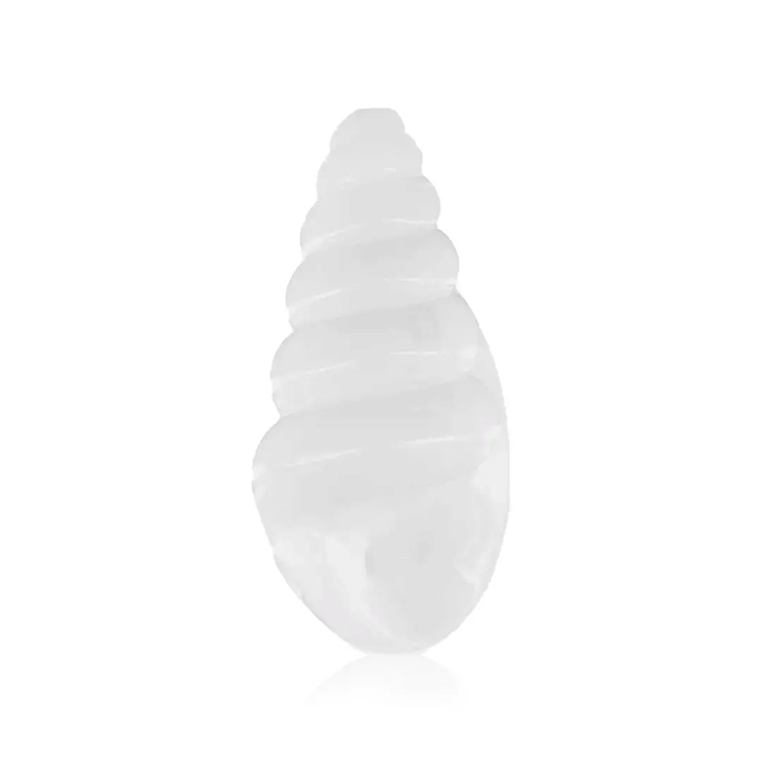 Seashell Hand Pipe 1