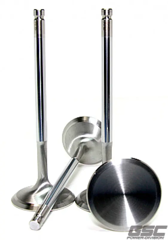 Gsc P-D Audi V10 5.2L/Daza 2.5L 33.8Mm Head Std 104.4Mm Long Chrome Polished Intake Valve- Set Of 10 1