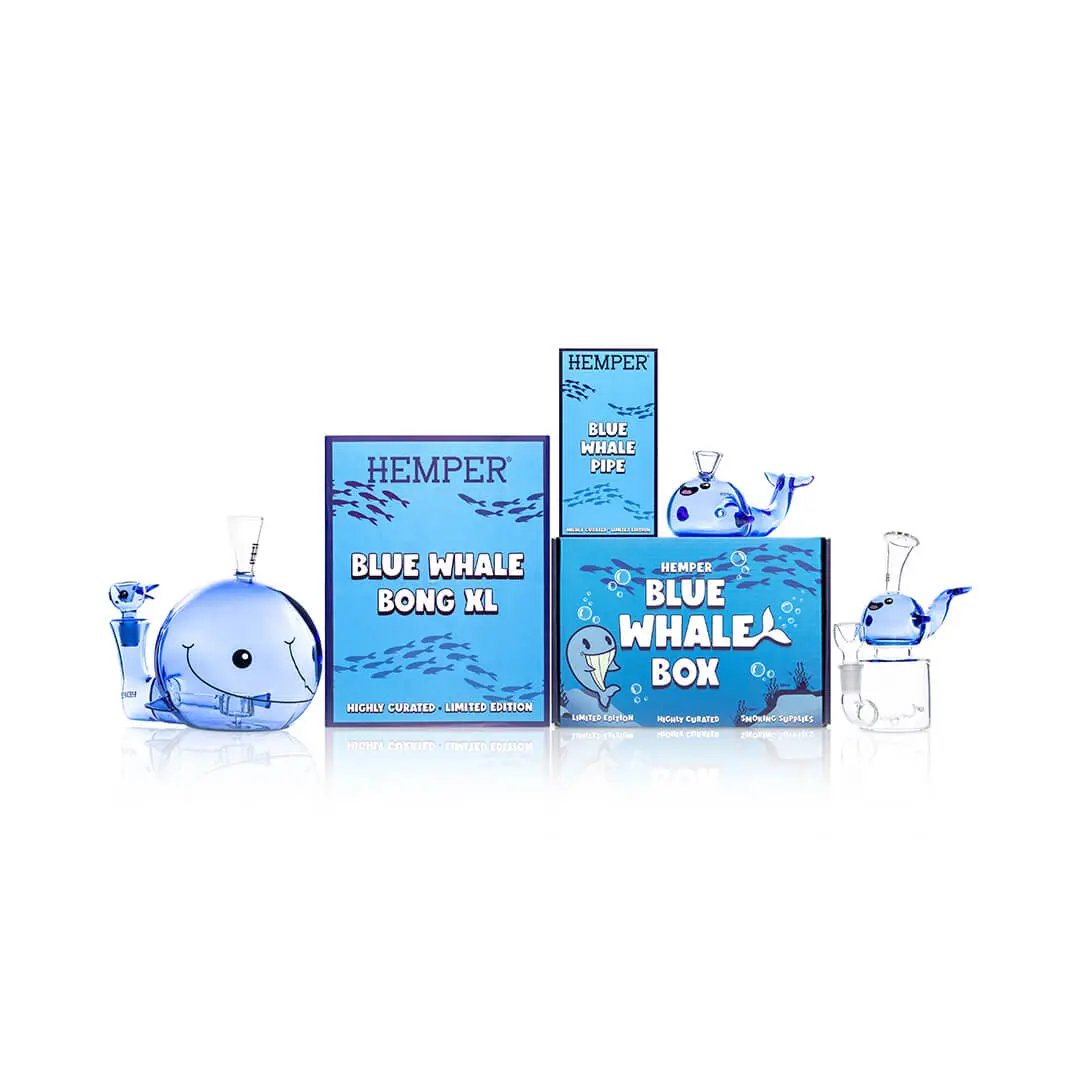 The Blue Whale Family 1