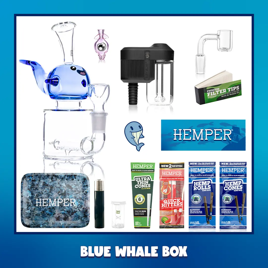 Blue Whale Bong Box 1